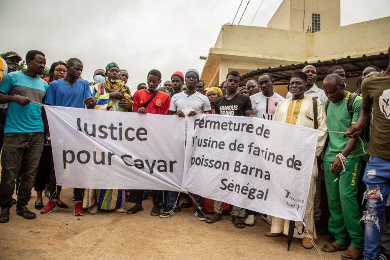 Lancement d’un litige historique contre l’industrie de la farine de poisson au Sénégal