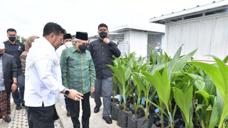 Le vice-président Ma’ruf Amin pousse le secteur agricole à amortir les effets de la crise alimentaire