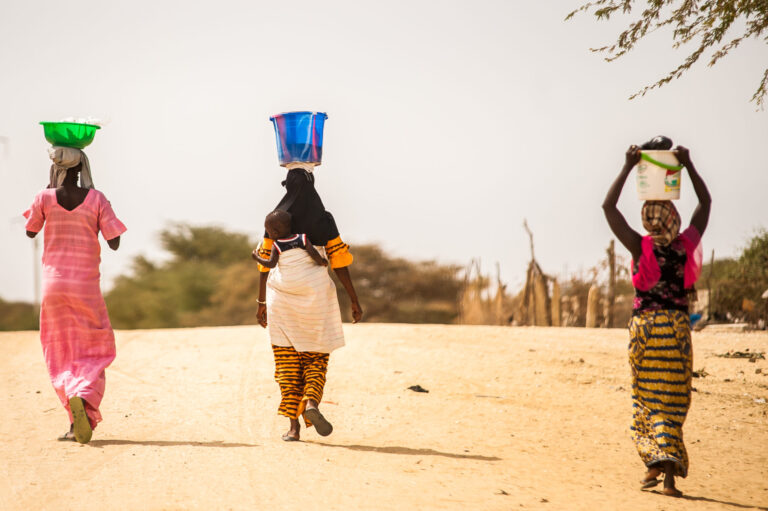 Luttant pour le changement au Sénégal, une militante lesbienne voit un chemin lengthy et difficile devant elle – Erasing 76 Crimes