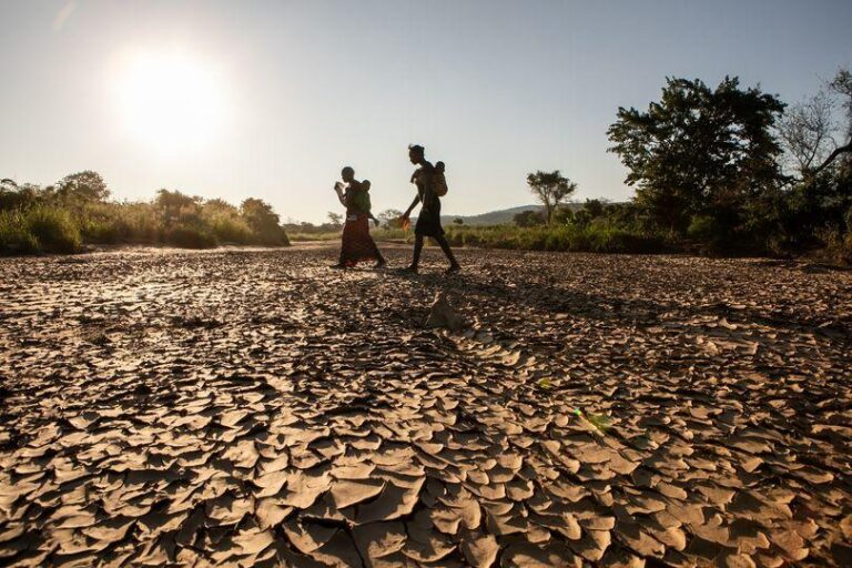 À la recherche de pâturages plus verts : les Guinéens confrontés au changement climatique – Guinée