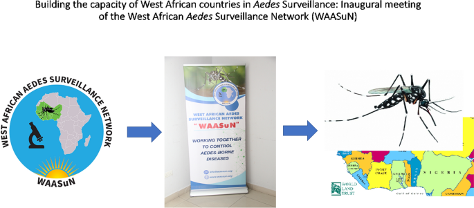 Constructing the capability of West African nations in Aedes surveillance: inaugural assembly of the West African Aedes Surveillance Community (WAASuN) | Parasites & Vectors