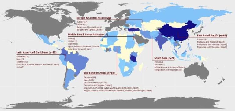 Le dilemme des soins de santé dans les pays en développement