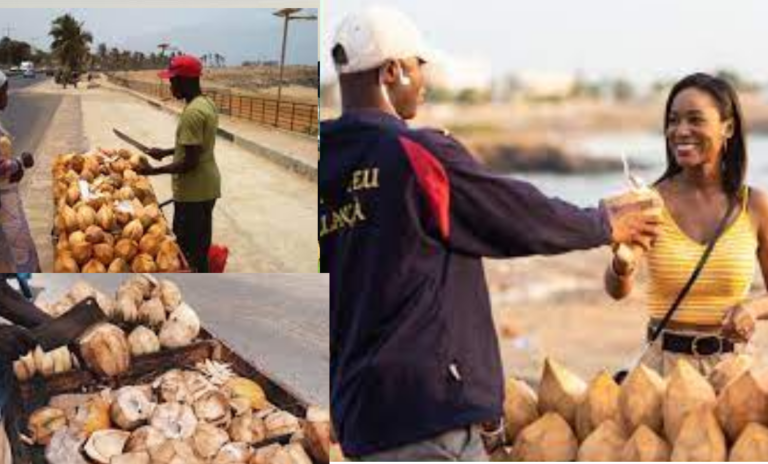 Sénégal, Reportage sur Les vendeurs de coco dans la capitale du senegal – DIRECT BETA